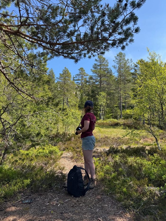 Anna surveying woodland