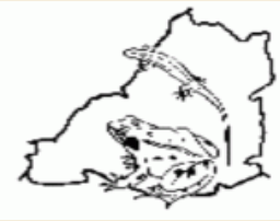Avon Reptile and Amphibian Group logo