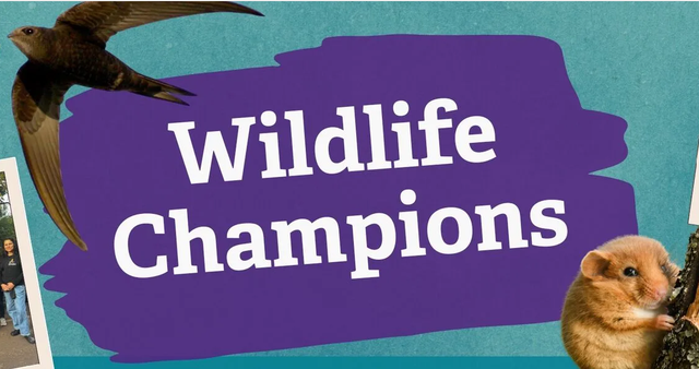 Wildlife Champions logo